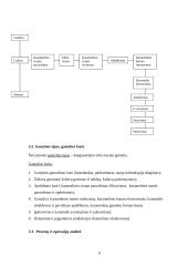 Karamelės gamybos technologijos analizė įmonėje UAB ,,RŪTA” 6 puslapis