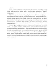 Aširačiai 2 puslapis