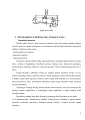 Aširačiai 4 puslapis