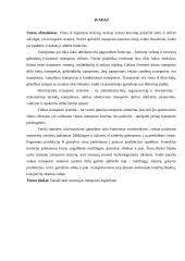 Inovacijos transporto logistikoje 3 puslapis