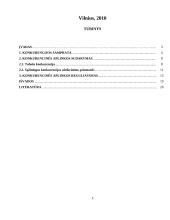 Konkurencinės aplinkos sudarymas ir reguliavimas 2 puslapis