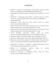 Konkurencinės aplinkos sudarymas ir reguliavimas 20 puslapis