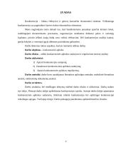 Konkurencinės aplinkos sudarymas ir reguliavimas 3 puslapis