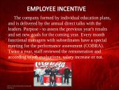 Coca-cola company presentation 14 puslapis