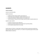 Verslo idėjos apie kinietiškų prekių pardavimus pagrindimas 4 puslapis