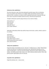 Verslo idėjos apie kinietiškų prekių pardavimus pagrindimas 6 puslapis