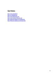 Verslo idėjos apie kinietiškų prekių pardavimus pagrindimas 10 puslapis