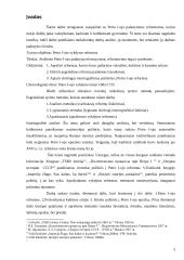 Petras Pirmasis reformatorius 3 puslapis