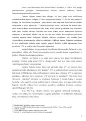 Petras Pirmasis reformatorius 5 puslapis