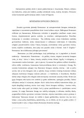 Renesansas ir humanizmas. Nikalojus Makiavelis 6 puslapis