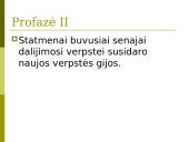 Mejozė. Pristatymas 17 puslapis