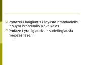 Mejozė. Pristatymas 9 puslapis