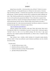 Infliacija. Jos formos ir tempai 2 puslapis