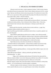 Infliacija. Jos formos ir tempai 3 puslapis