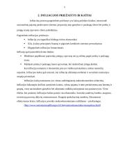 Infliacija. Jos formos ir tempai 5 puslapis