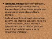 Teisėkūros sąvoka, teisėkūros subjektai, būdai bei rūšys 13 puslapis