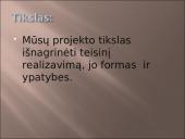 Teisinis realizavimas 2 puslapis