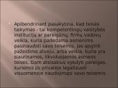 Teisinis realizavimas 20 puslapis
