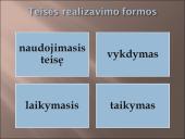 Teisinis realizavimas 5 puslapis