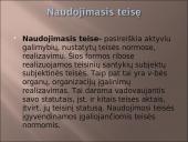 Teisinis realizavimas 6 puslapis