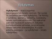 Teisinis realizavimas 8 puslapis