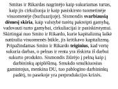 Klasikinės politinės ekonomijos teorija 17 puslapis