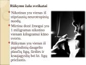 Rūkymo žala moterims 7 puslapis