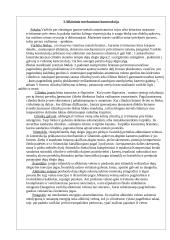 Alkūninis mechanizmas. Labaratorinis darbas 2 puslapis