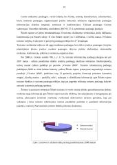 Šilutės rajono informacinių centrų paslaugų analizė 14 puslapis