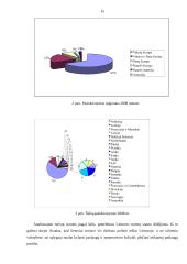 Šilutės rajono informacinių centrų paslaugų analizė 15 puslapis