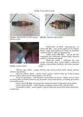 Praktikos ataskaita elektronikos įmonėje 16 puslapis