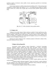 Šiuolaikinių automobilių variklių uždegimo sistemos 7 puslapis