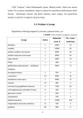 Verslo planas. Ledų gamyba 11 puslapis