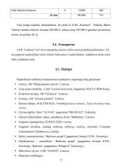 Verslo planas. Ledų gamyba 12 puslapis