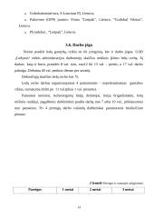 Verslo planas. Ledų gamyba 13 puslapis