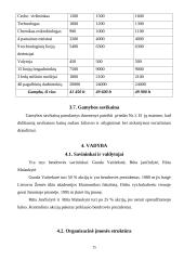 Verslo planas. Ledų gamyba 14 puslapis
