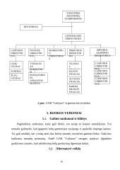 Verslo planas. Ledų gamyba 15 puslapis