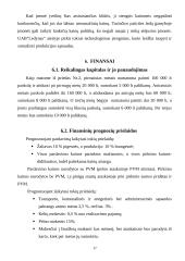 Verslo planas. Ledų gamyba 16 puslapis