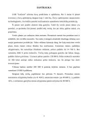 Verslo planas. Ledų gamyba 3 puslapis