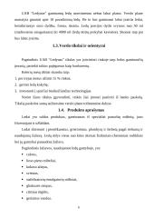 Verslo planas. Ledų gamyba 5 puslapis