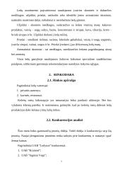 Verslo planas. Ledų gamyba 6 puslapis