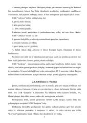 Verslo planas. Ledų gamyba 8 puslapis