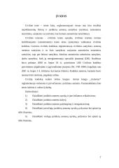 Privatūs ir viešieji juridiniai asmenys. Referatas 3 puslapis