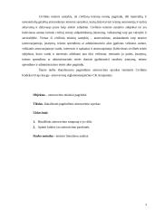 Atstovavimo teisiniai pagrindai 3 puslapis