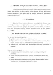 Atstovavimo teisiniai pagrindai 6 puslapis