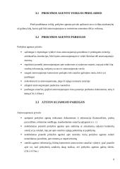 Atstovavimo teisiniai pagrindai 8 puslapis