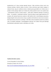 Atstovavimo teisiniai pagrindai 10 puslapis