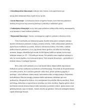 Verbalinė komunikacija 10 puslapis