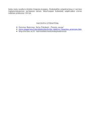 Sauga nuo elektros 12 puslapis