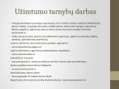 Olandijos socialinė aplinka 11 puslapis